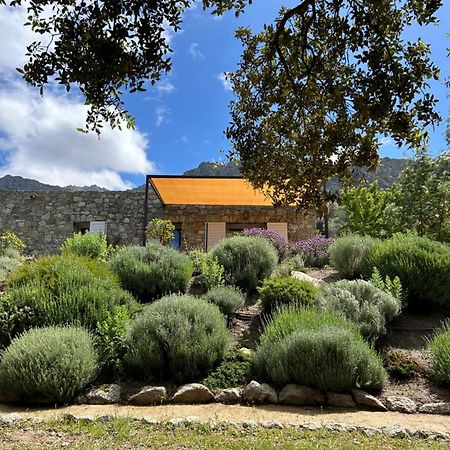 Residence Casarella Lama מראה חיצוני תמונה